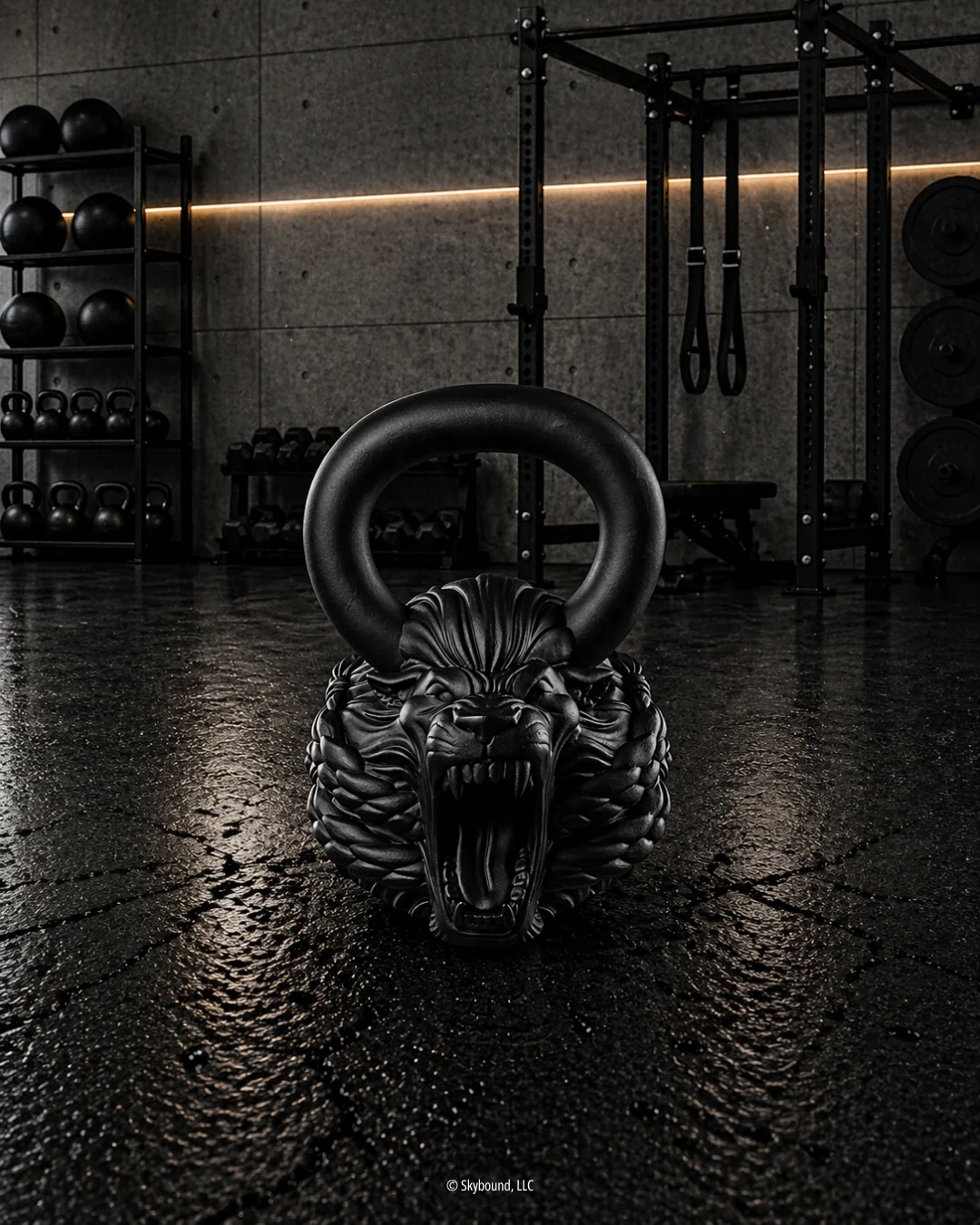 INVINCIBLE® Matte Black Kettlebell Collectors Bundle 1 of 40 - Image 16