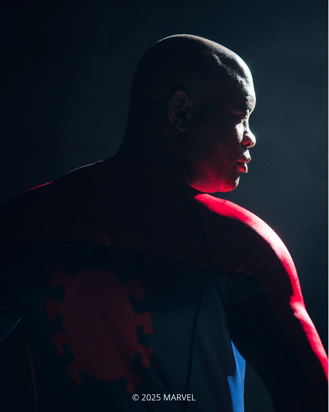 Spider-Man Long Sleeve MMA Rash Guard - Image 10